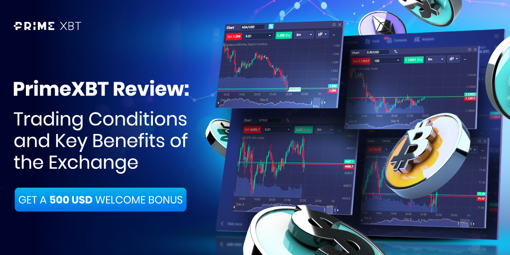 Understanding the Dynamics of Spot Trading on PrimeXBT